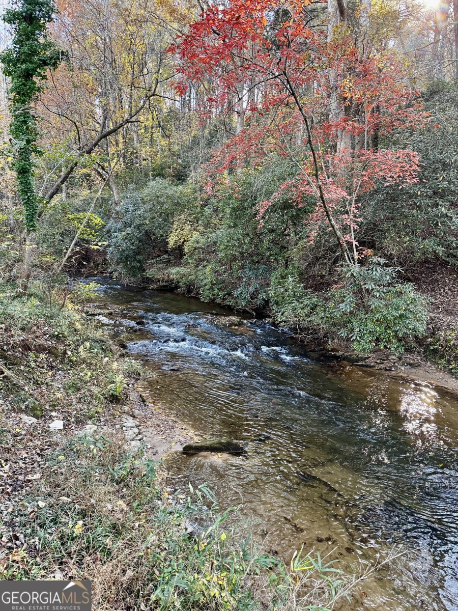 687 Nimblewill Creek Road Dahlonega - 5