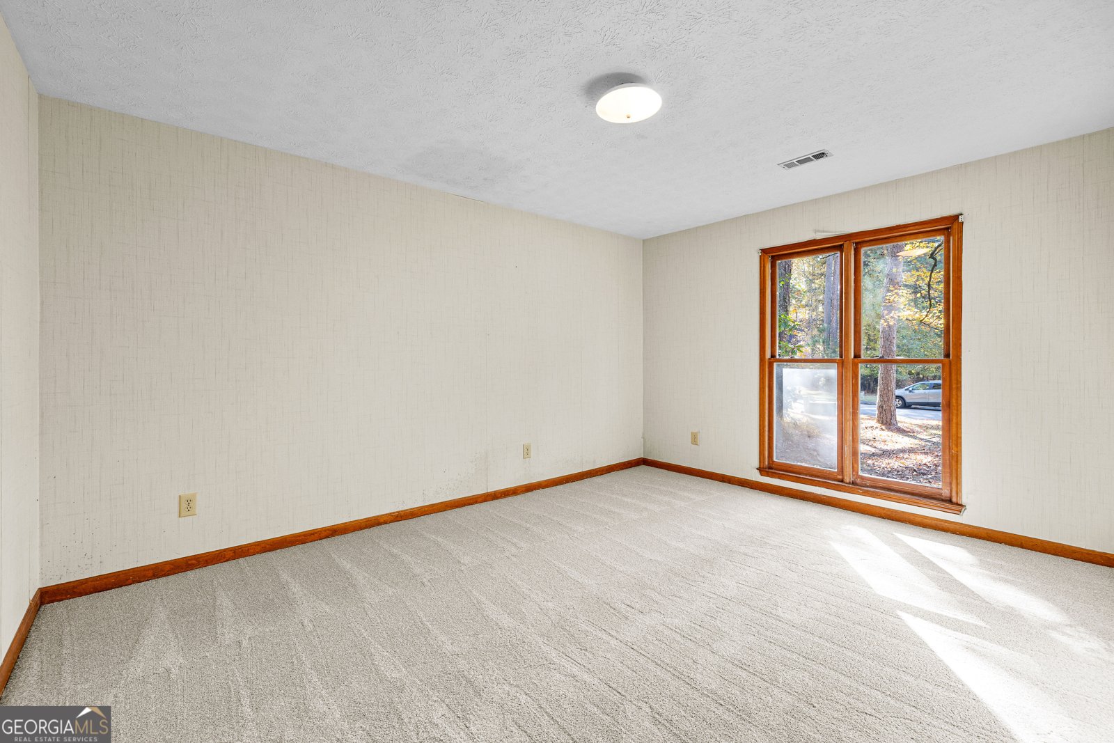 101 Sawtan Rim Peachtree City - 28