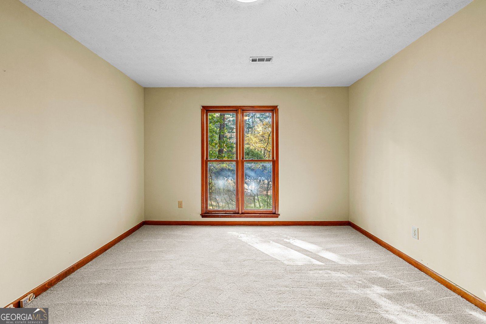 101 Sawtan Rim Peachtree City - 31