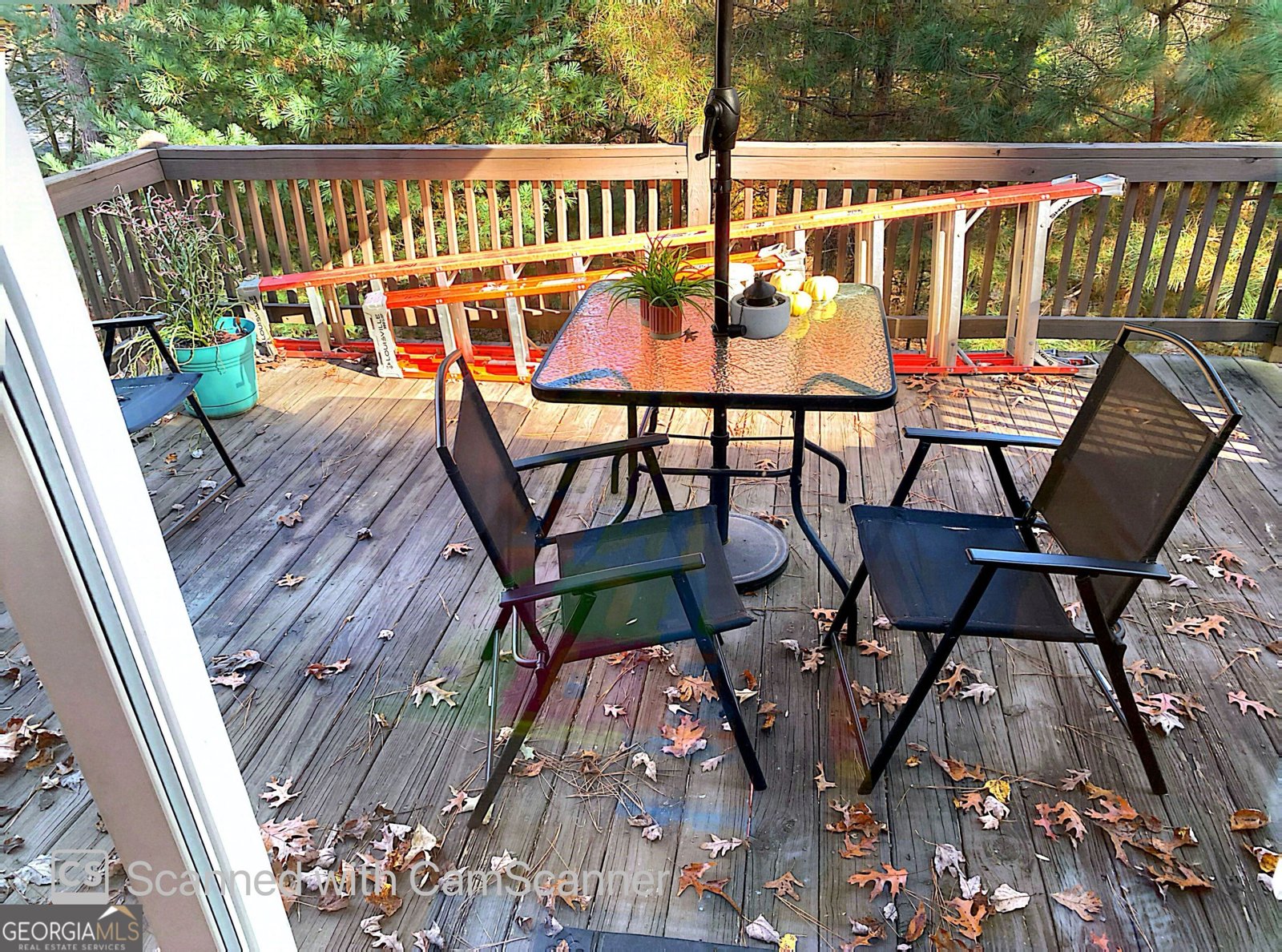 302 Zenith Trail Ellijay - 4