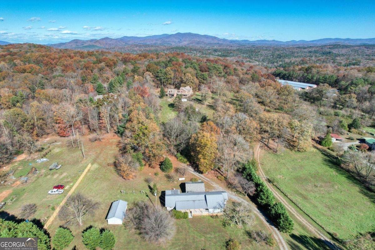 431 Clear Creek Road Ellijay - 44