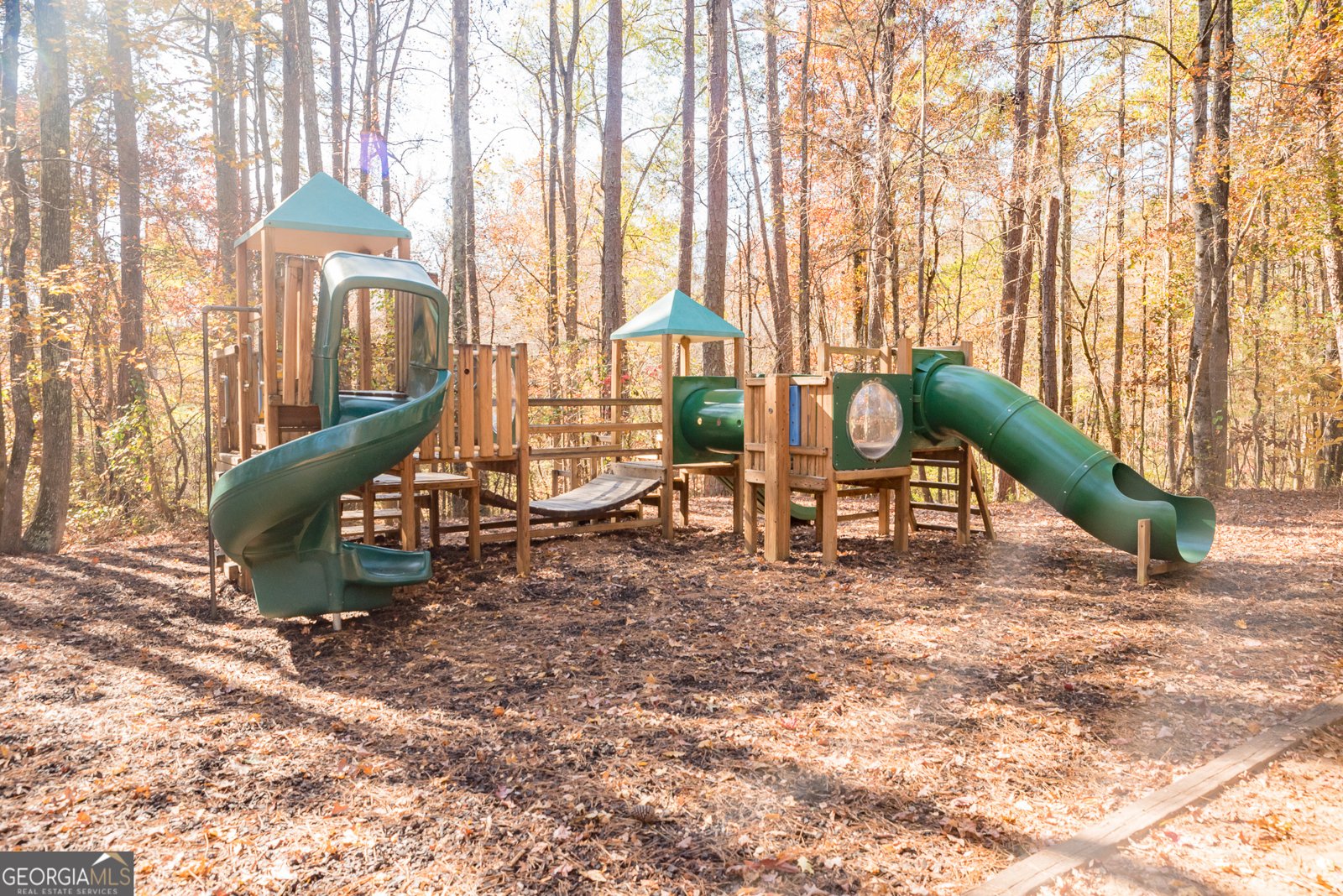 320 Dalston Way Peachtree City - 2