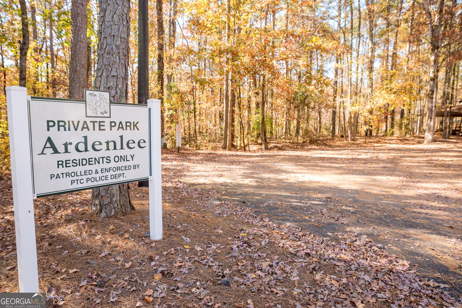 320 Dalston Way Peachtree City - 69