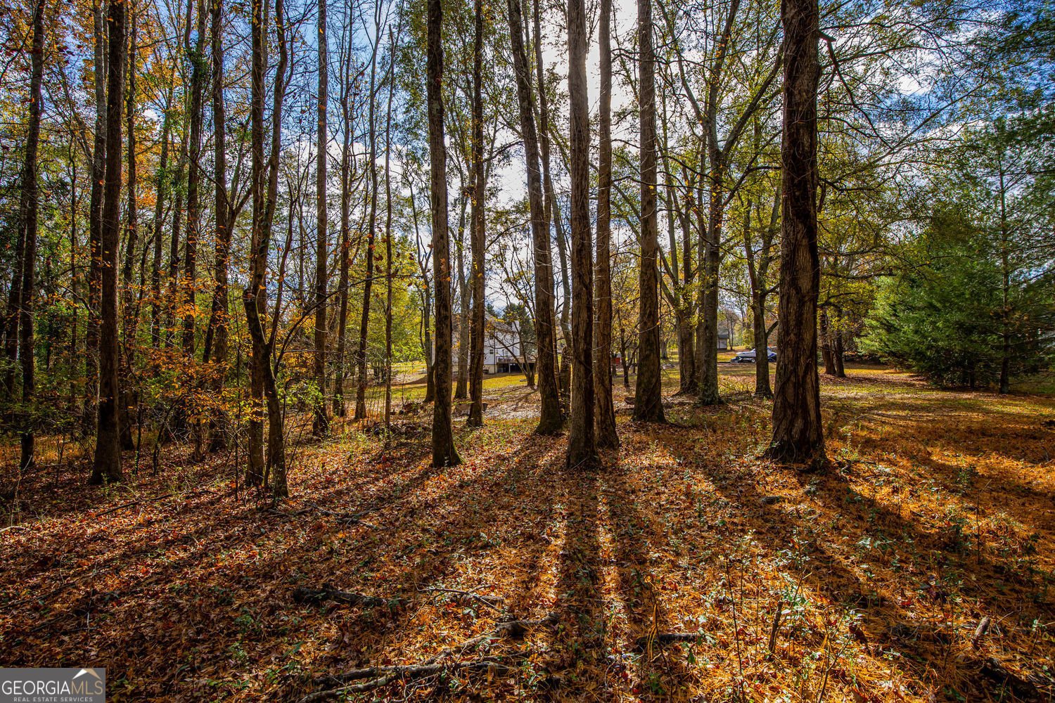 96 Indian Creek Way Hoschton - 61