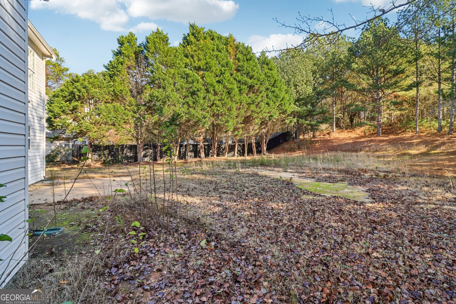 3810 Weeping Willow Lane Loganville - 51