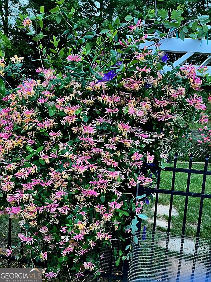 711 Ashley Wilkes Way Loganville - 28