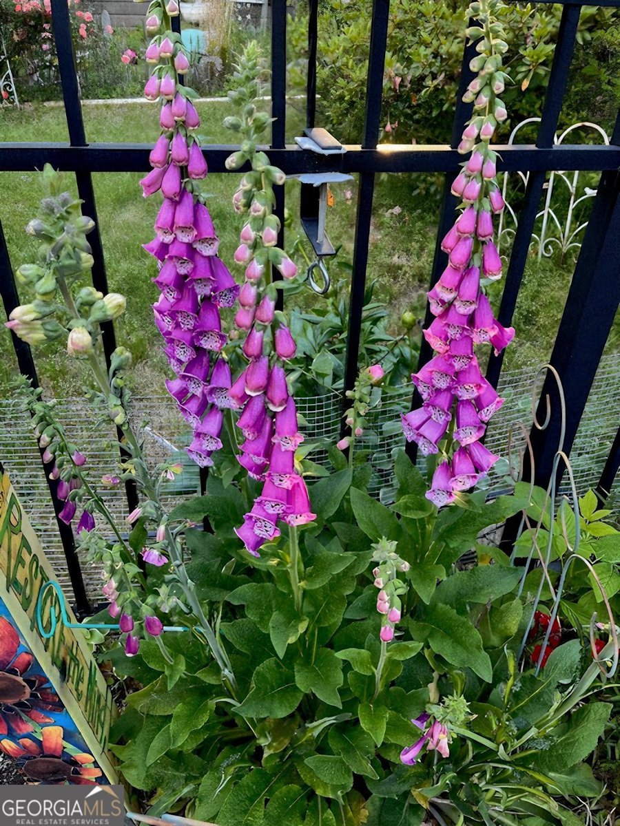 711 Ashley Wilkes Way Loganville - 30