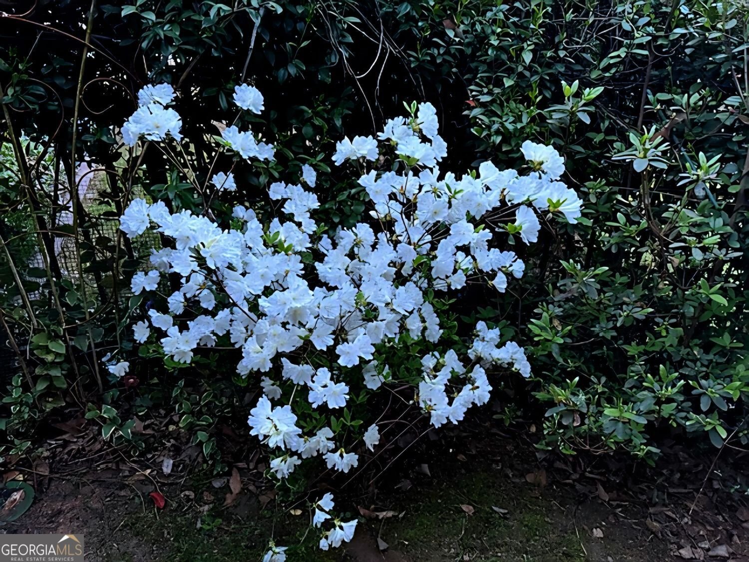 711 Ashley Wilkes Way Loganville - 31