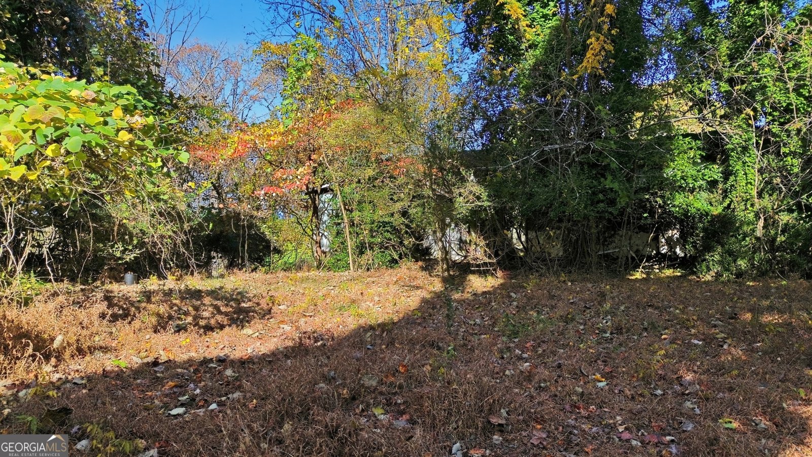 133 Blue Ridge Avenue Demorest - 9