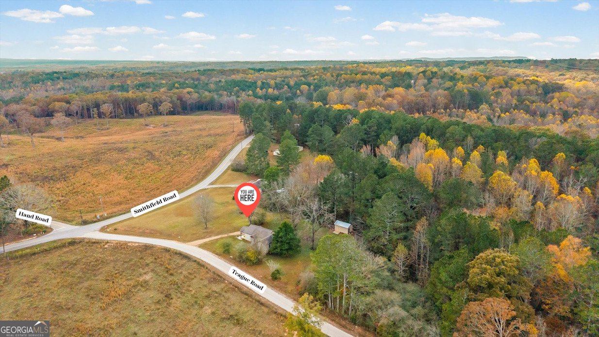 1615 Teague Road Bowdon - 47