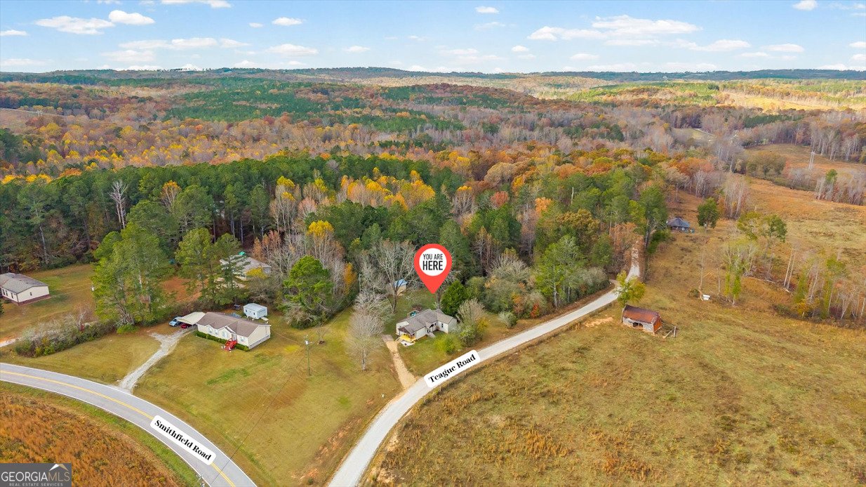 1615 Teague Road Bowdon - 48