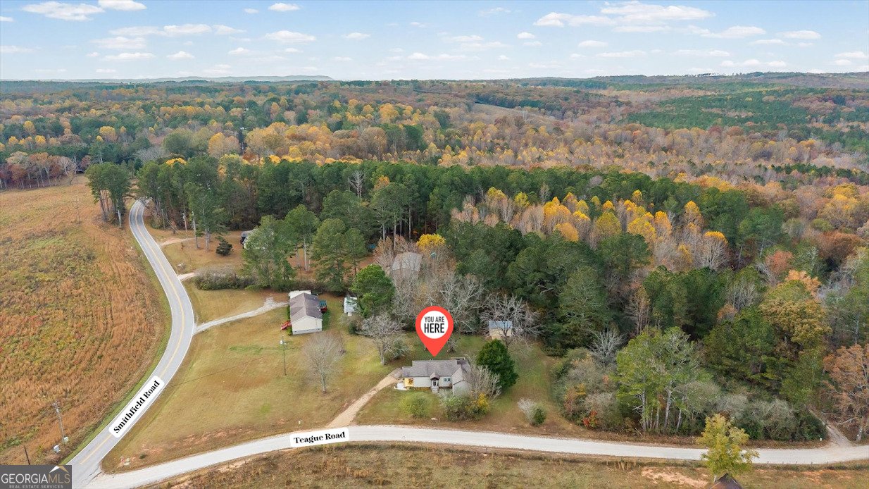 1615 Teague Road Bowdon - 49