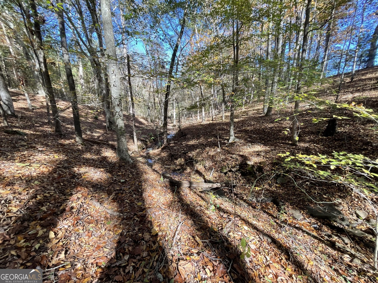 501 Raleigh Road Woodbury - 53