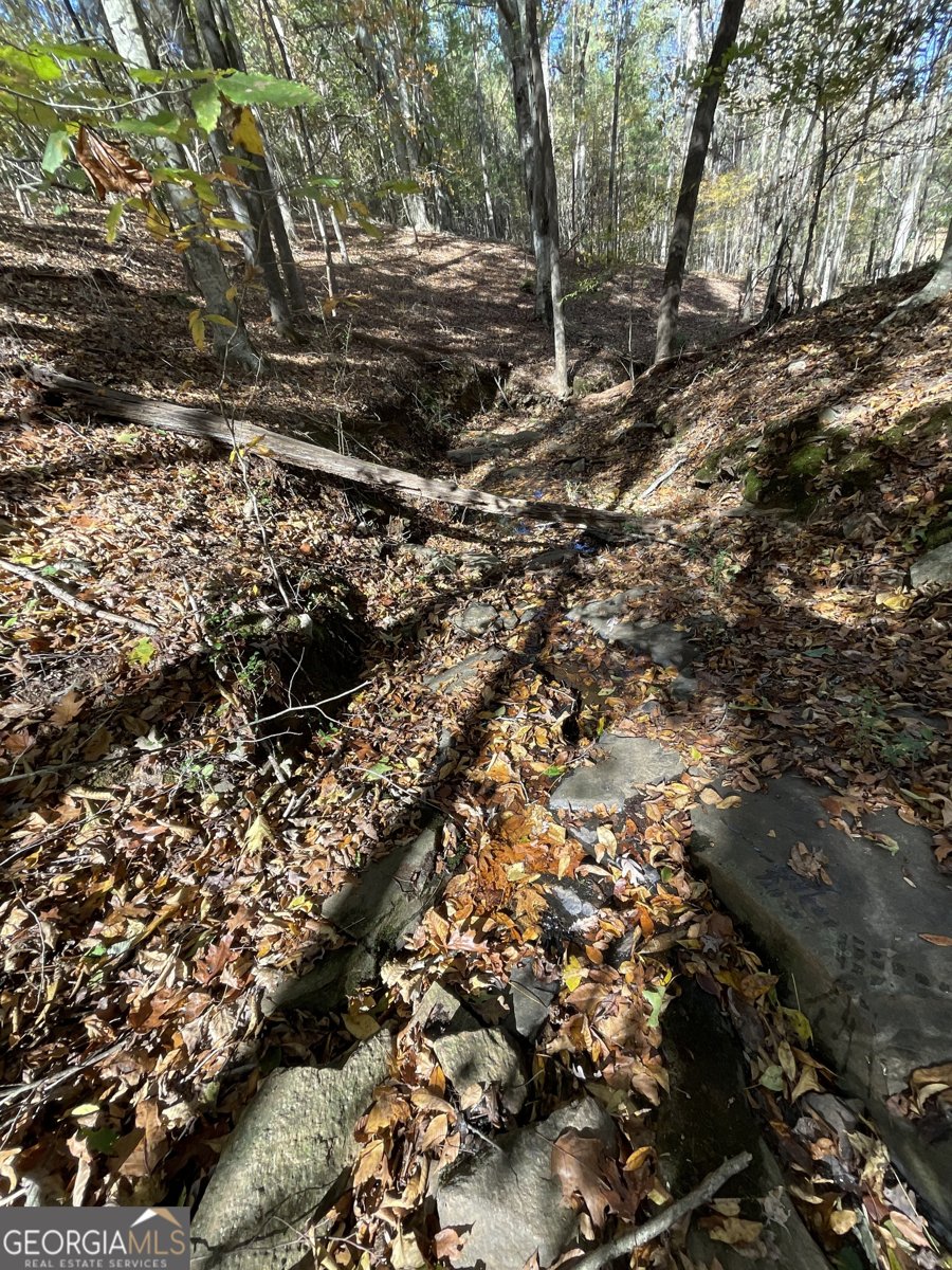 501 Raleigh Road Woodbury - 54