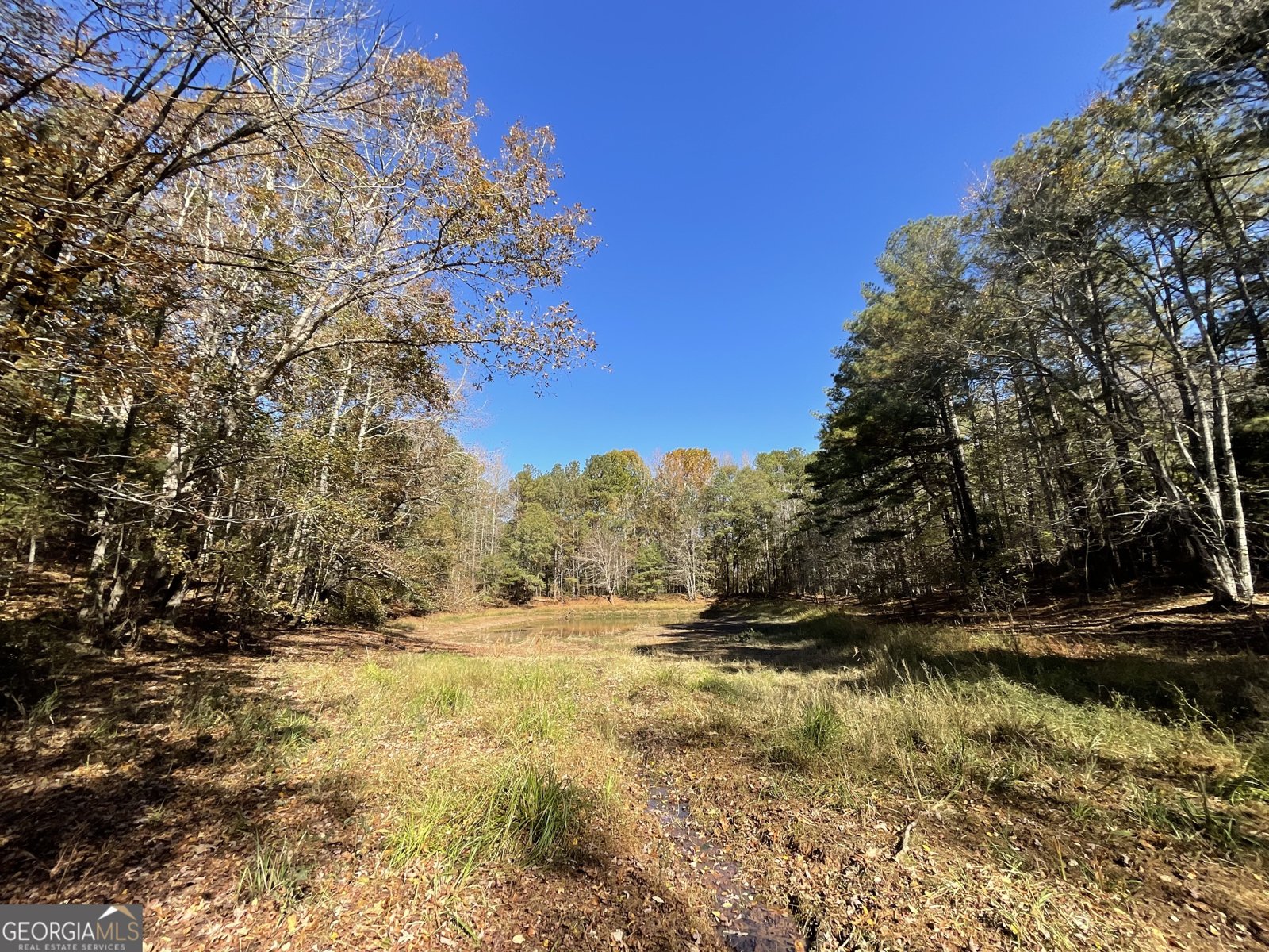 501 Raleigh Road Woodbury - 58