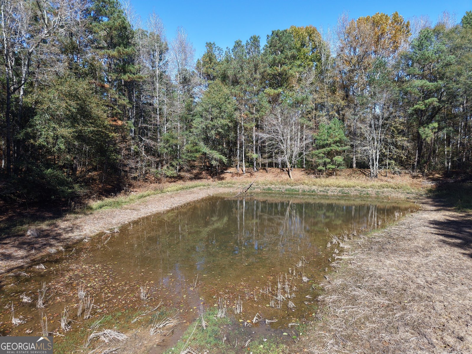 501 Raleigh Road Woodbury - 59