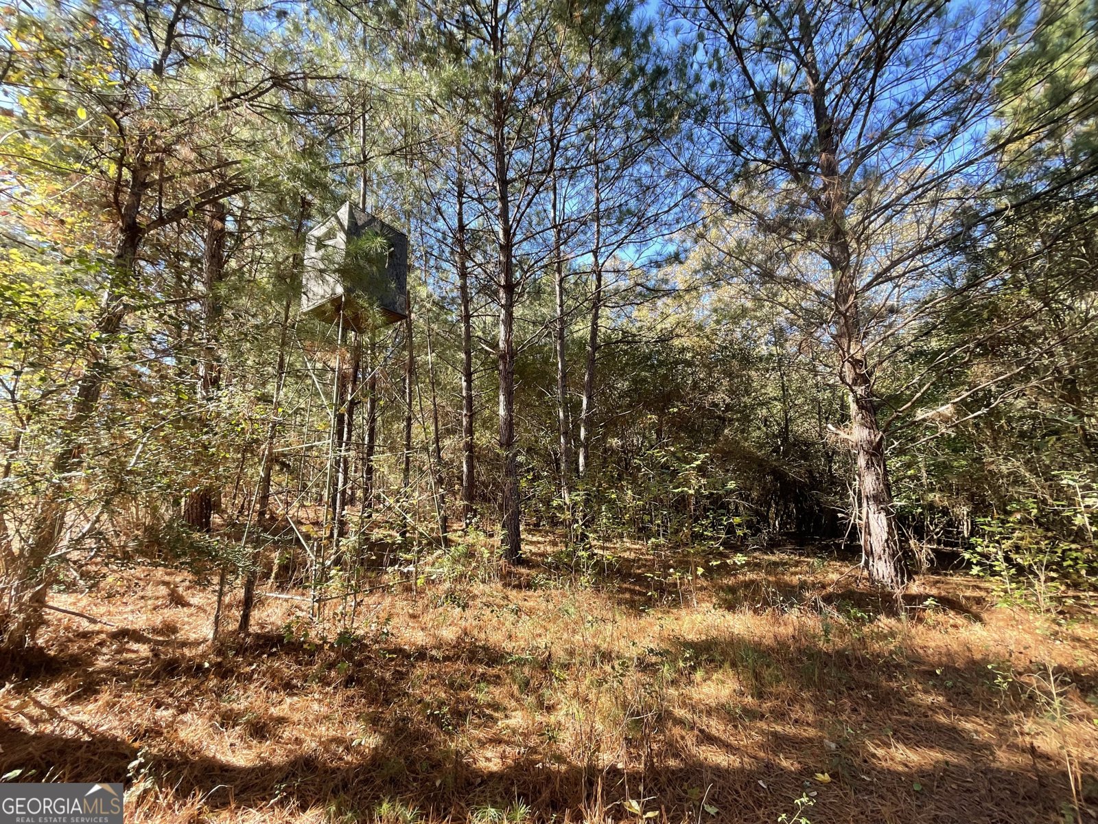 501 Raleigh Road Woodbury - 6