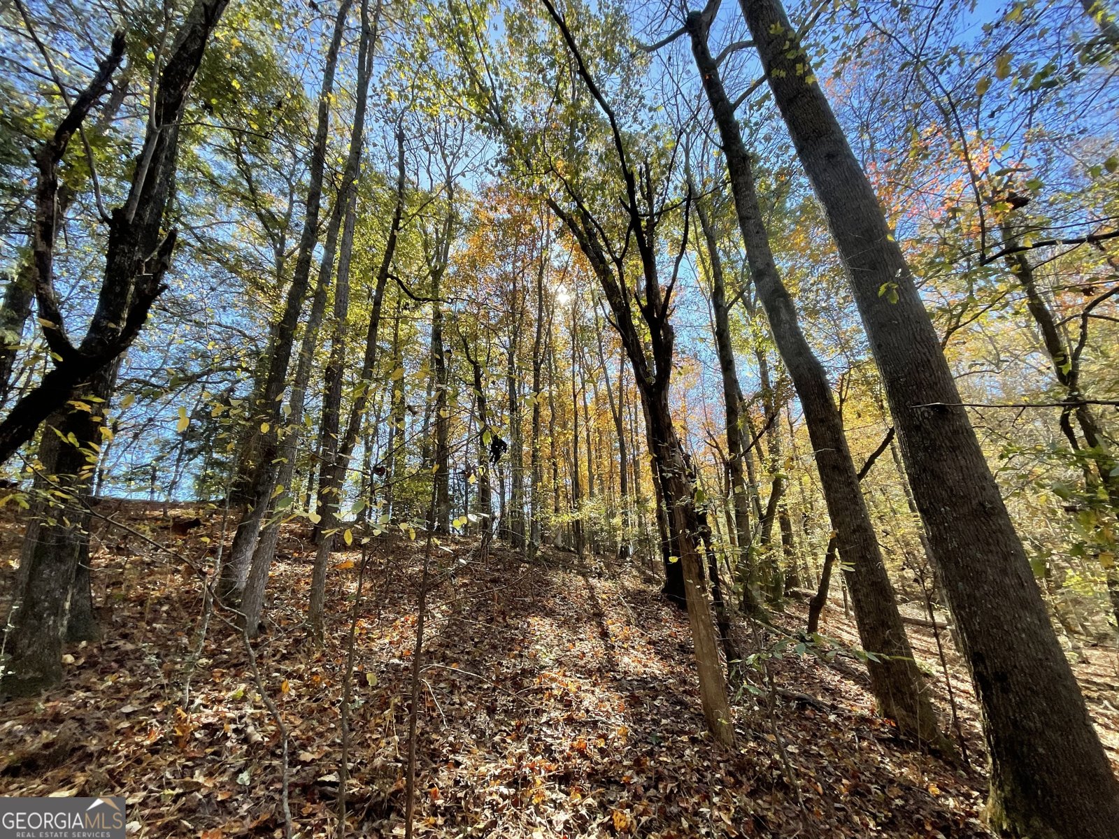 501 Raleigh Road Woodbury - 60