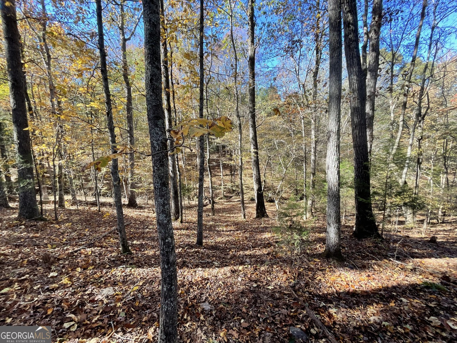 501 Raleigh Road Woodbury - 63