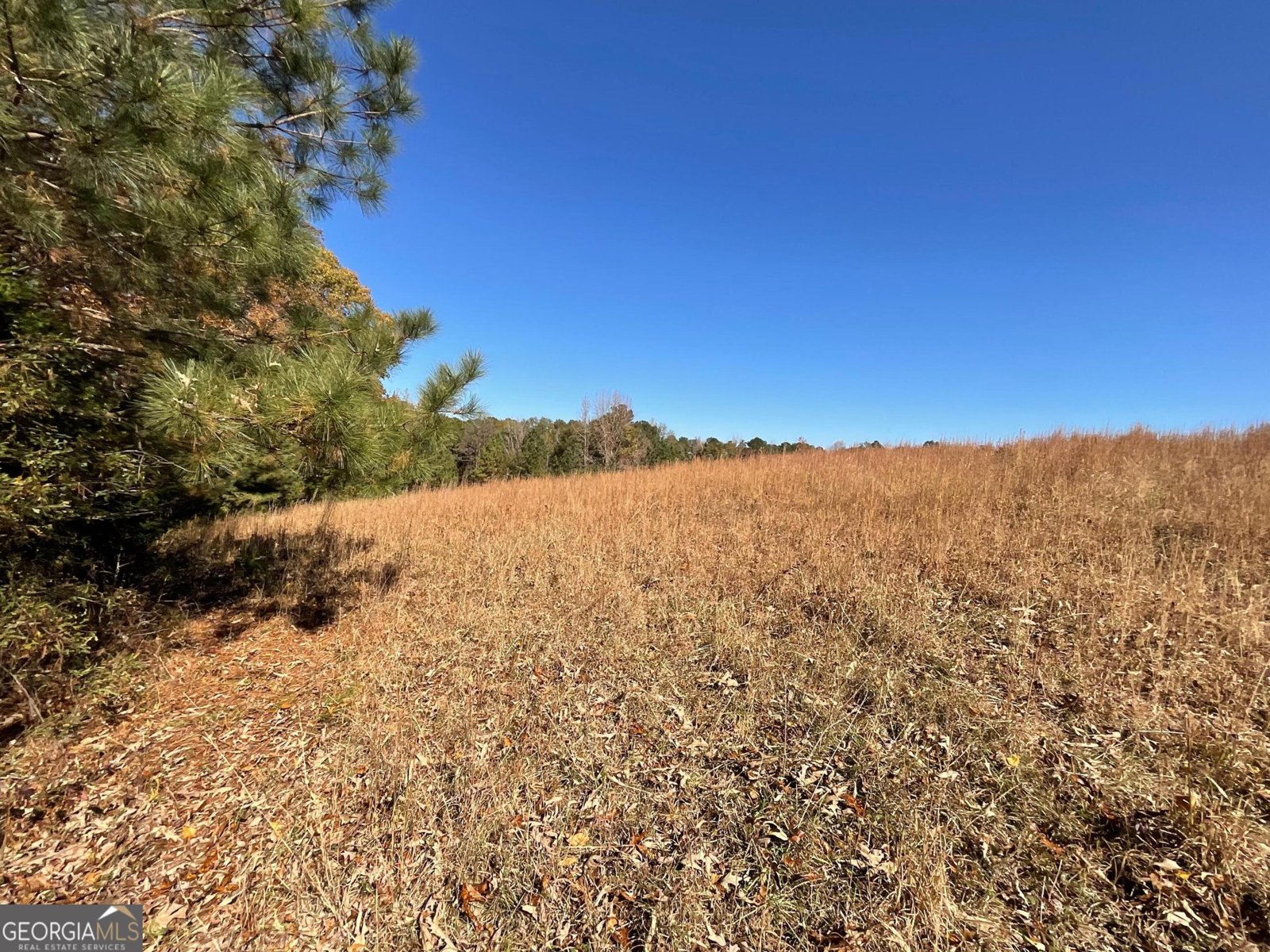 501 Raleigh Road Woodbury - 64