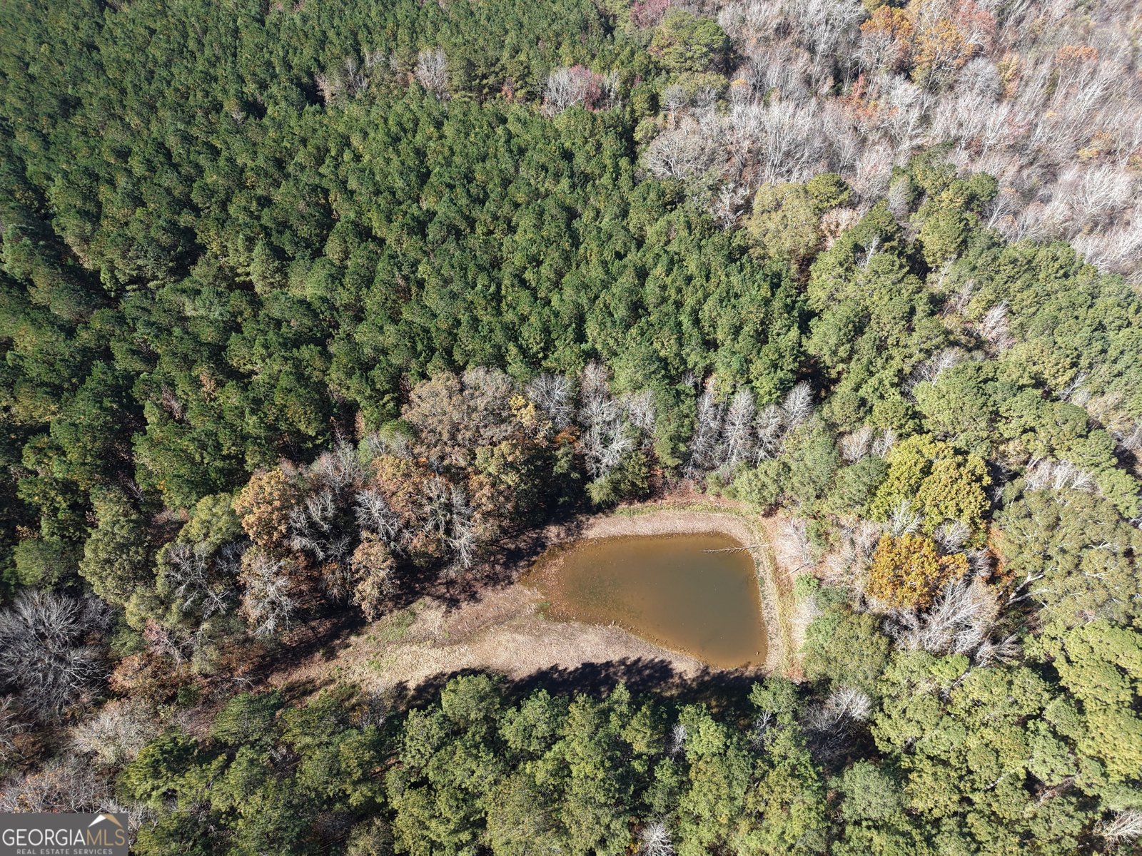 501 Raleigh Road Woodbury - 7