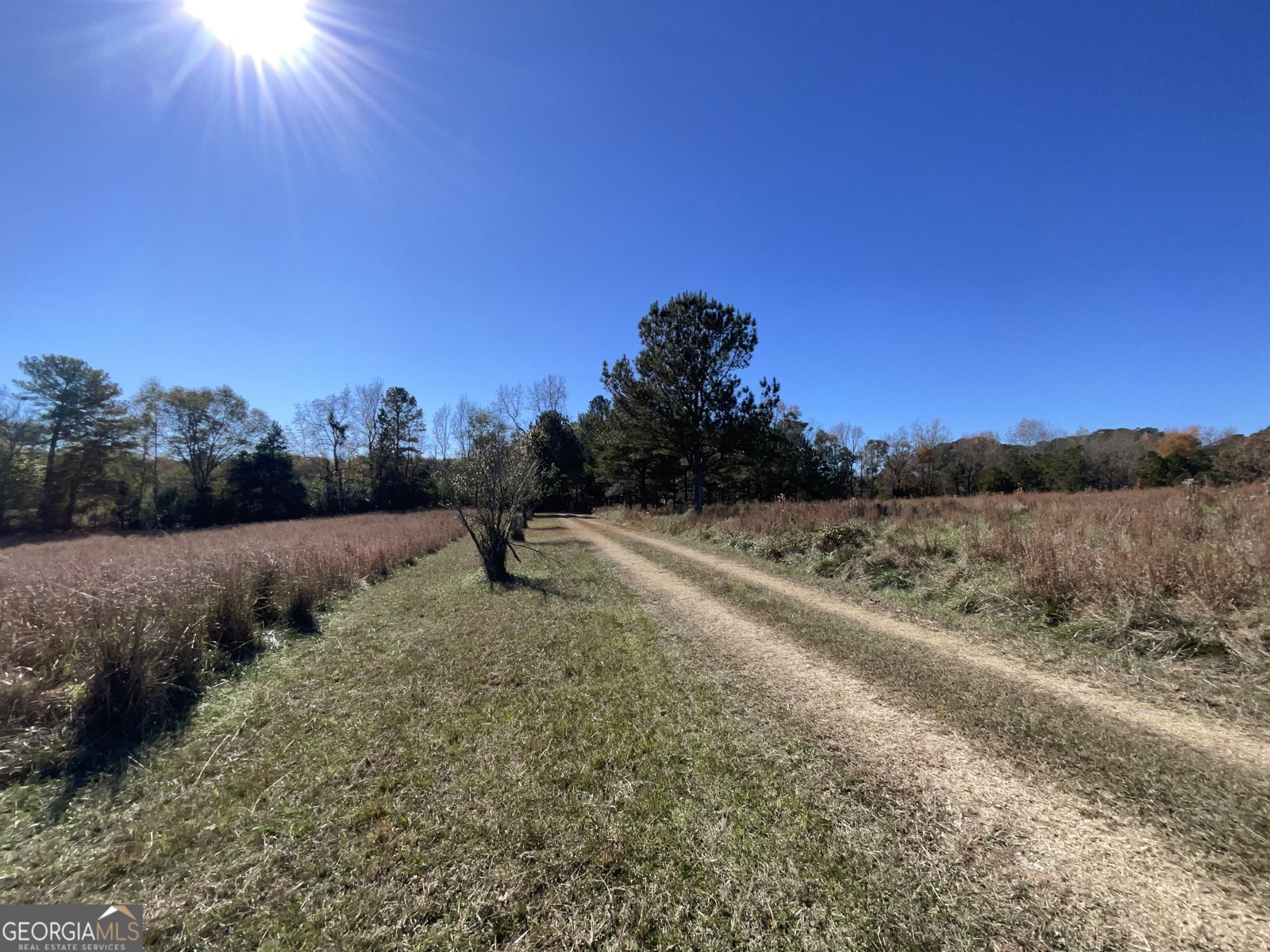 501 Raleigh Road Woodbury - 8