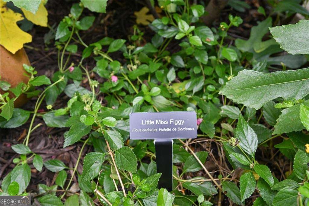 2067 Fairhaven Circle Atlanta - 63