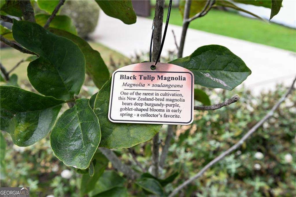 2067 Fairhaven Circle Atlanta - 66