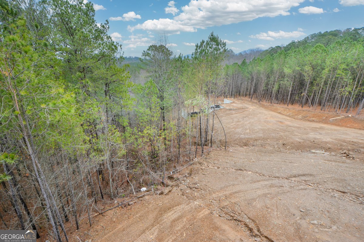 171 Field Stone Circle Jasper - 61