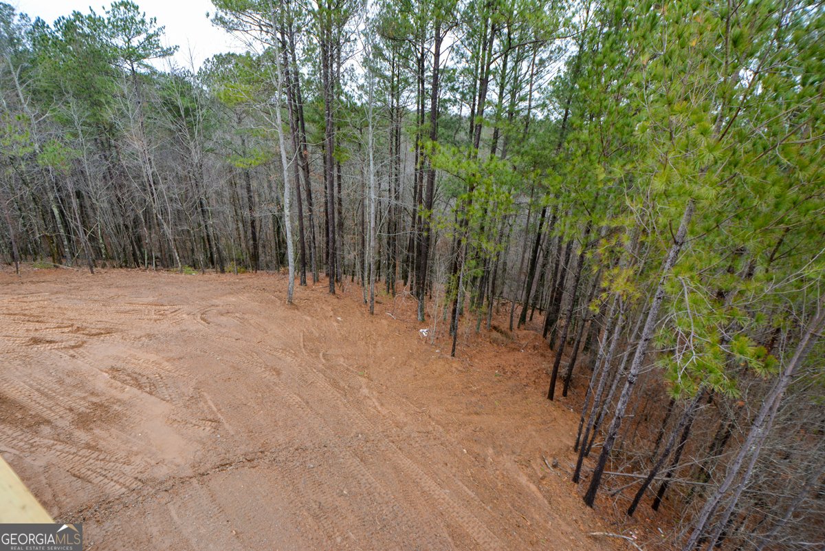 171 Field Stone Circle Jasper - 62