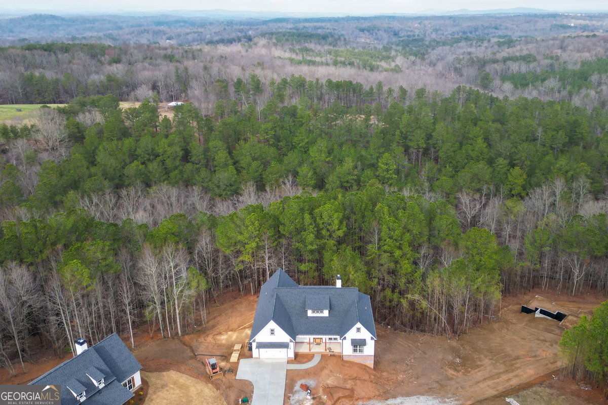 171 Field Stone Circle Jasper - 65