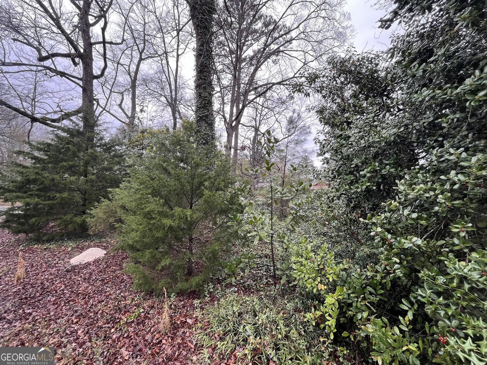 1226 Zebulon Road Griffin - 25