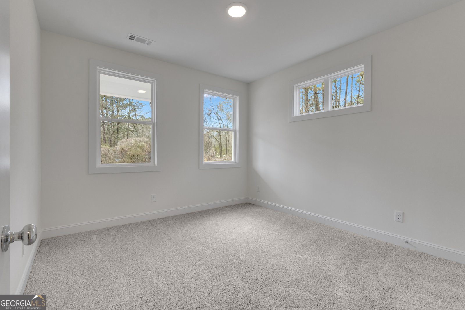 16 Coleman Street Luthersville - Photo 38