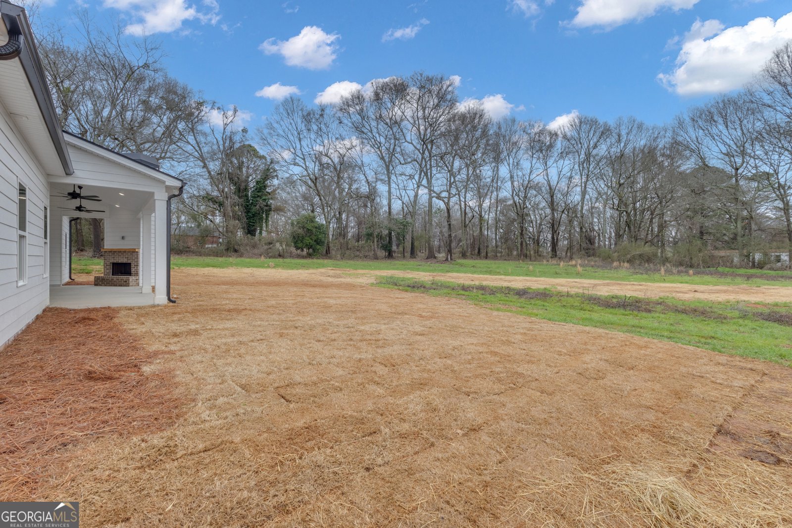 16 Coleman Street Luthersville - Photo 54