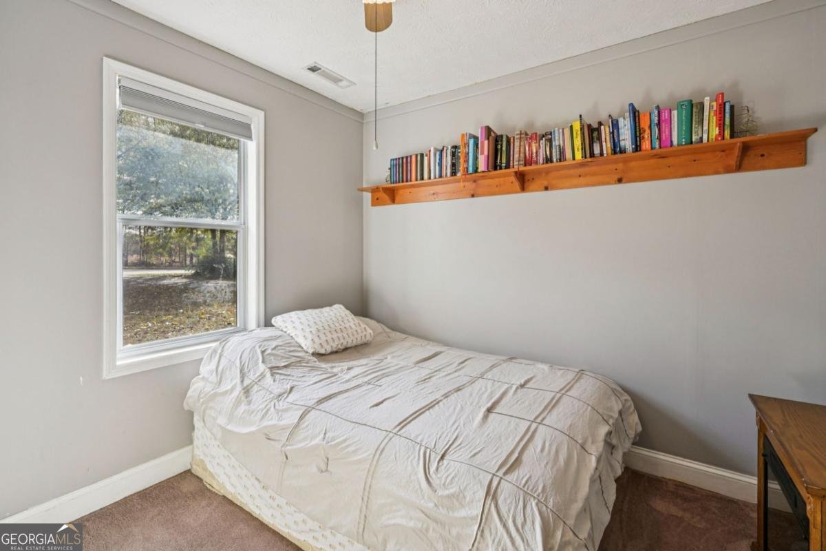 296 Mcintosh Trail Sharpsburg - 23