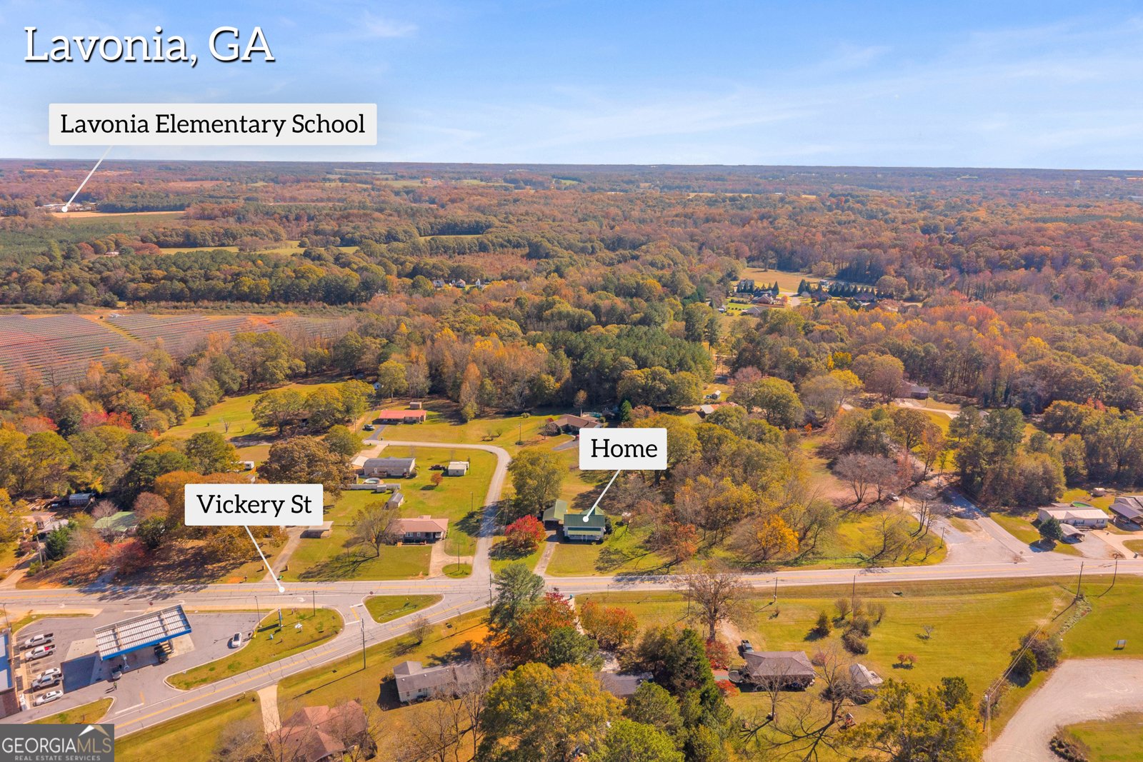 4693 Vickery Street Lavonia - 55
