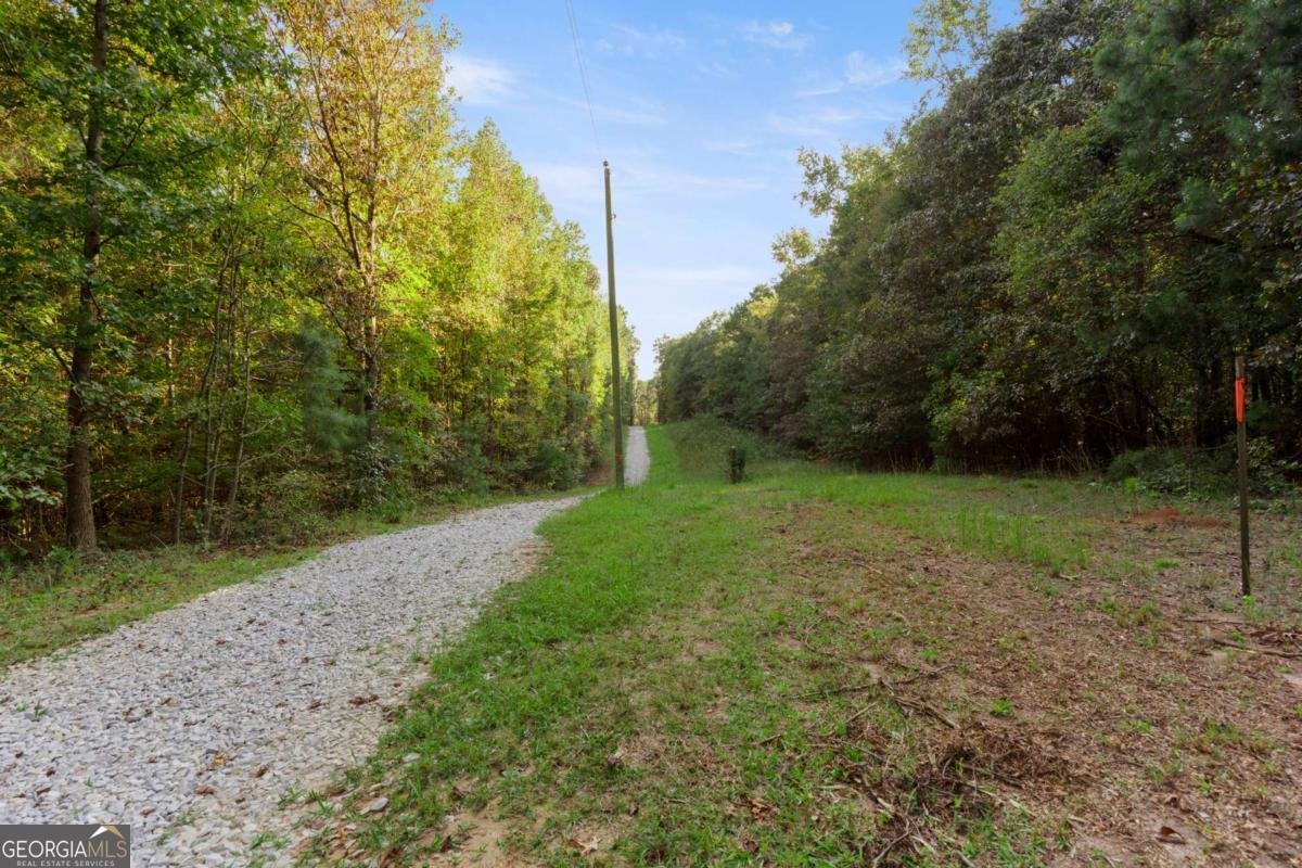 0 Collins Brooks Road Comer - 2