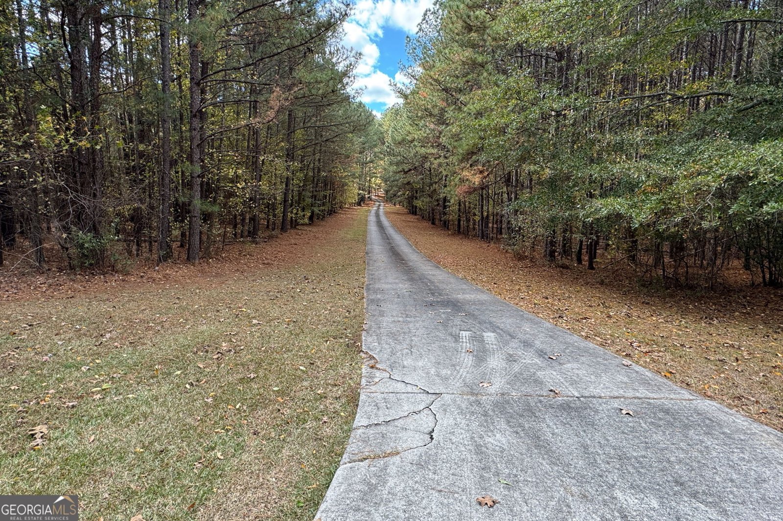 8467 Hearn Road Chattahoochee Hills - 86