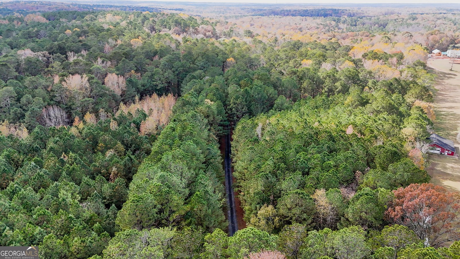 8467 Hearn Road Chattahoochee Hills - 88