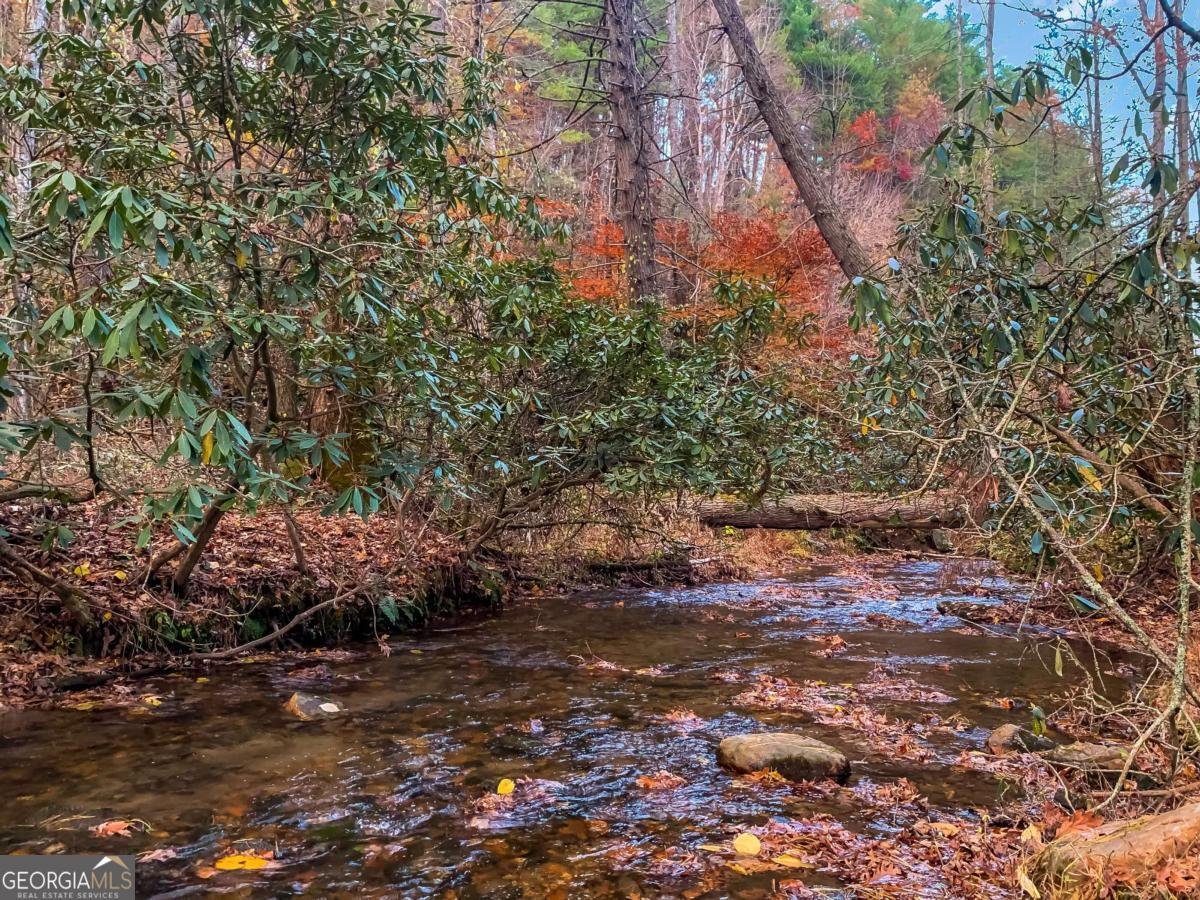 60 Bailey Creek Drive Blue Ridge - 2