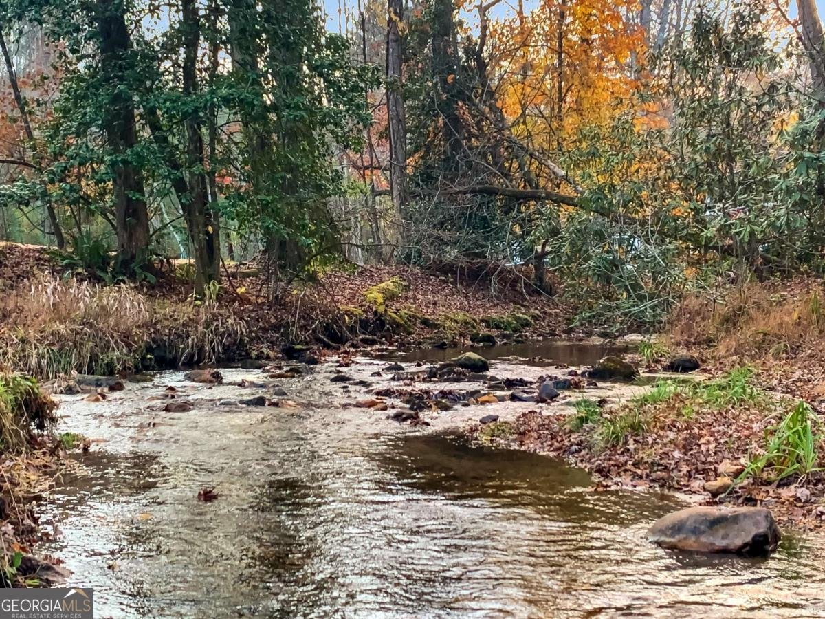 60 Bailey Creek Drive Blue Ridge - 38