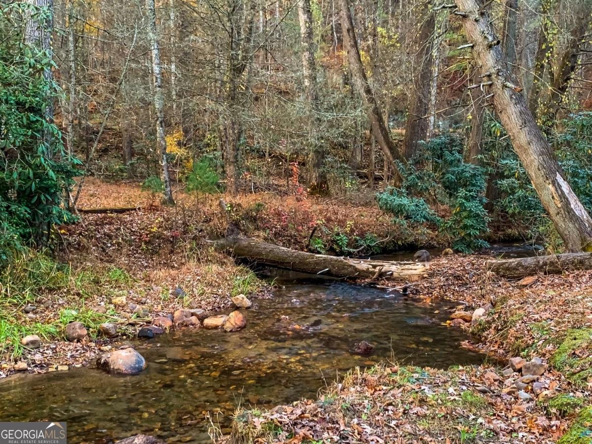 60 Bailey Creek Drive Blue Ridge - 4