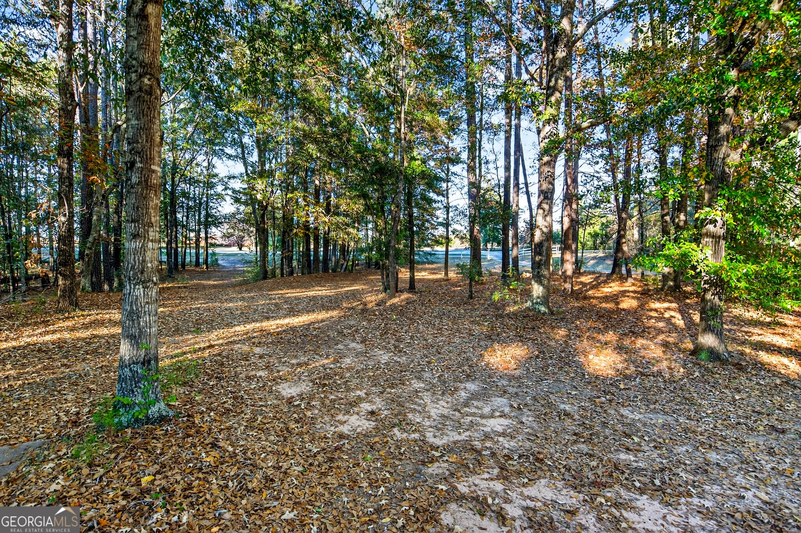 1144 Oak Grove Road Pine Mountain - 37