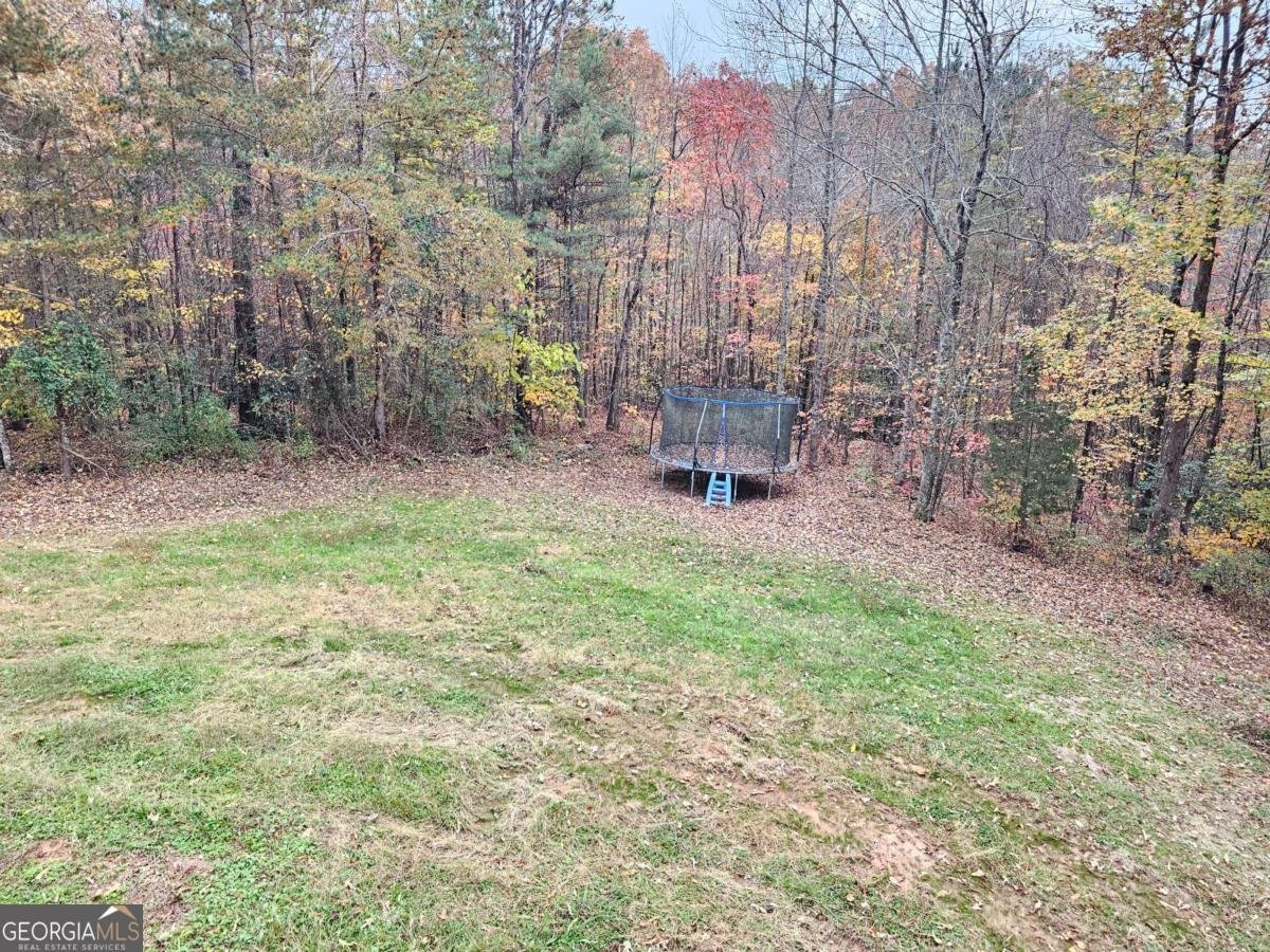 1304 Dalrymple Circle Ellijay - 22