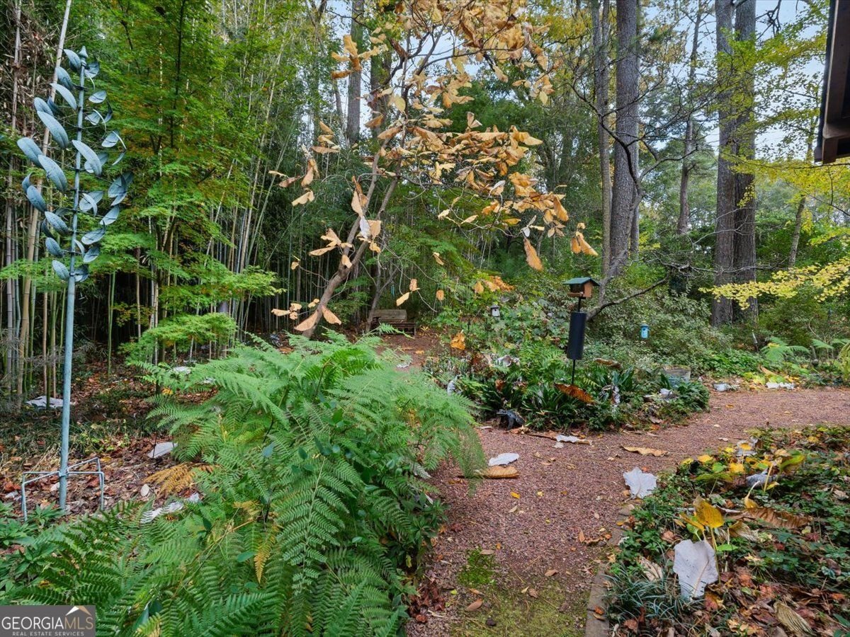 2937 Mt Olive Drive Decatur - 19