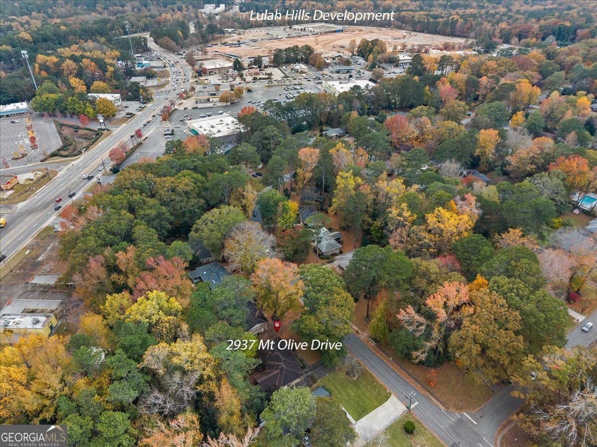 2937 Mt Olive Drive Decatur - 21