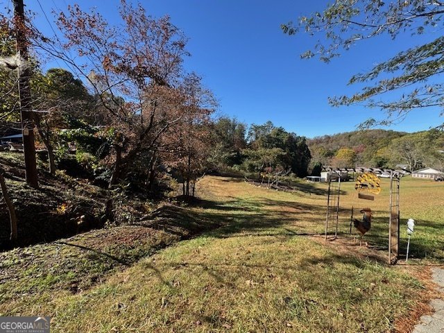 22 Orange Lane McCaysville - 21