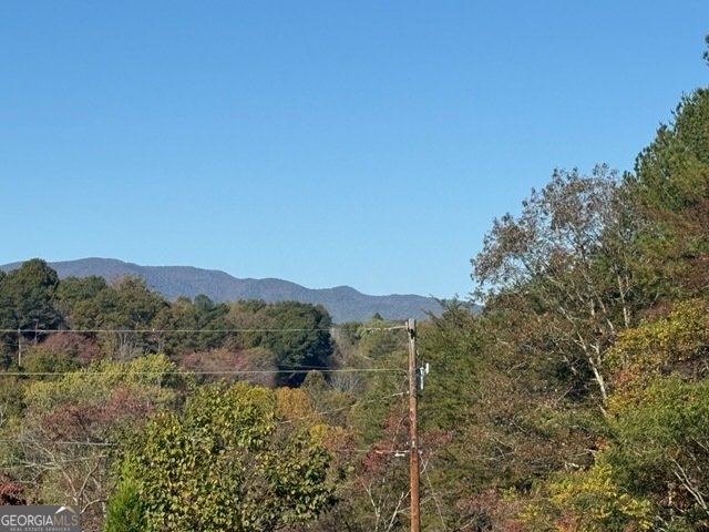 22 Orange Lane McCaysville - 58