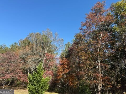 22 Orange Lane McCaysville - 61