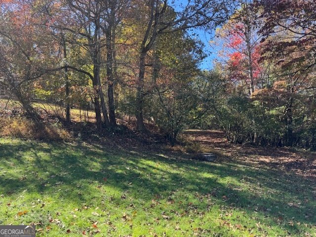 22 Orange Lane McCaysville - 63